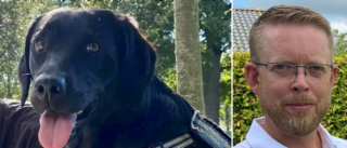 Hunden Essie fortfarande borta – men nu finns nya uppslag