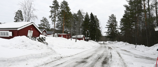 Thinking outside the box: Cabins offer relief for housing crisis