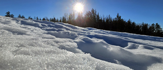 Härliga dagar med värmande sol