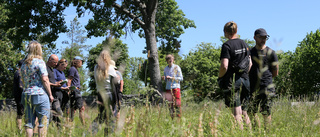 Här låter kyrkorna gräs och blommor växa höga