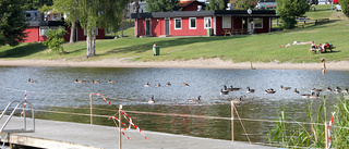 Färre bajsbakterier i nytt vattenprov