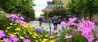 På tur bland stadens blommor