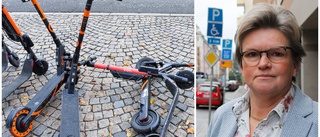 Het debatt om elsparkcyklar på kvällens fullmäktige