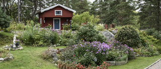 Naturtomten som blev ett trädgårdsparadis