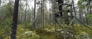 Döms för att ha sågat sönder 27 jakttorn