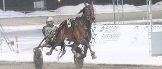 Världsstjärnan levererade i snöstormen på Bodentravet