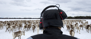 Uttalandena spär på rasismen mot samer