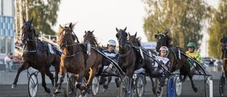 Travsporten runt Bodenovalen hetare än värmen