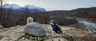 Läsarbilden: Höstvandring i Abisko    