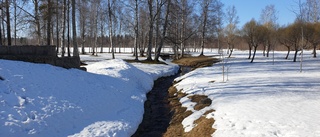 Läsarbilden: det porlar av vår