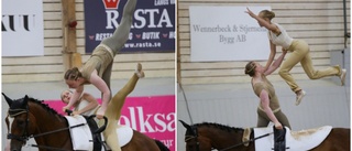 Fyra SM-medaljer och ett EM-hopp för Uppsala voltige