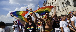 Prideparad i Budapest protest mot lag