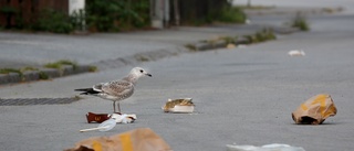 Fler soptunnor behövs i vårt samhälle