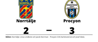 Procyon segrare borta mot Norrtälje