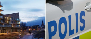 Åtal: Kastade colaburk mot polis och skrek "fuck you" • Oväntad brottsrubricering