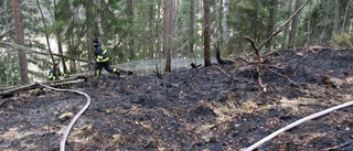 Anhållna för mordbrand släppta