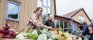 Fynd och skådespel på Fåfängan