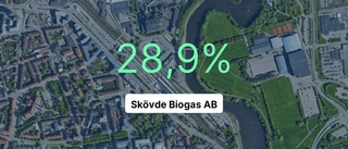 Linköpingföretaget ökar intäkterna – är bland de största i Sverige