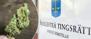 Förvarade över ett halvt kilo cannabis i hemmet • Två unga män döms till fängelse – och förlorar sina jobb