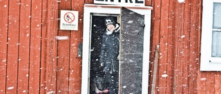 Smörgåsbord för hundägare hela helgen