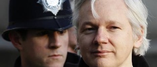 Assange mot feminististerna