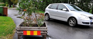 Fritt fram för blomlådor på gatorna