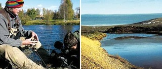 Westrin huvudperson när fiskefilmer spelas in i Norrbottensfjällen