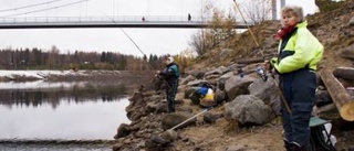 Efterlängtad fiskesatsning i Boden invigd