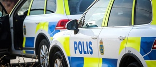 Man greps av polis efter stöld och utpressning