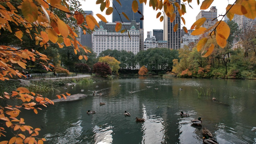 Jättelägenheten som danska UD vill sälja ligger nära Central Park på Manhattan i New York. Arkivbild.