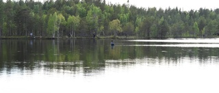 Fisketraditionen tas upp igen vid populärt fritidsområde • Kommunen släpper ut fisken i dagarna 