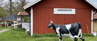 Gårdsbutik fick kaffeförbud – tog vattnet från egen brunn