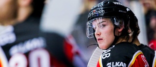 Laget: Så ställer Luleå upp mot Brynäs