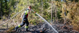 Skogsbrand på norra Gotland