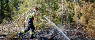 Eldningsförbud utfärdat för hela Gotland