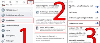 Problem att läsa från Facebook?