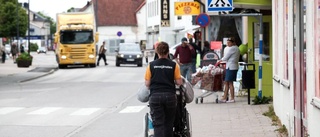 Ny park kan bli verklighet i Hemse