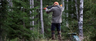 Svensk jakt håller på att urarta