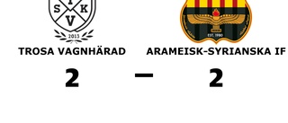 Trosa Vagnhärad kryssade mot Arameisk-Syrianska IF