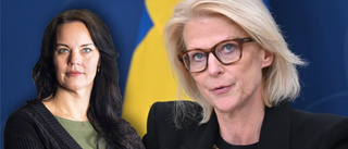 Renovera köket löser inte Sveriges problem