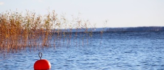 Kommunen söker strandnära lägen