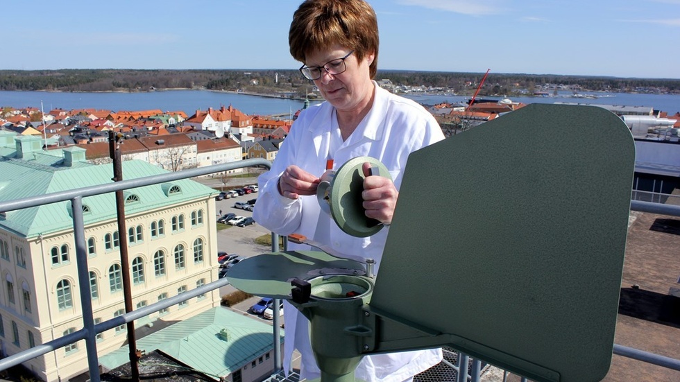 Tre gånger i veckan, klockan åtta på morgonen, "vittjar" Eva Elb eller någon av hennes kollegor pollenfällan högst uppe på taket på Västerviks sjukhus. Foto: Lena Dahlberg