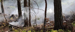 Skogsbrand på Norrlandet