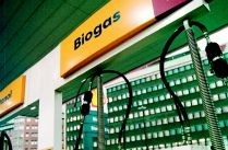 Etanol eller biogas - måste vi välja?