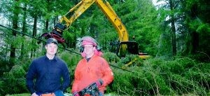 Rensade elljusspåret från stormfällda träd