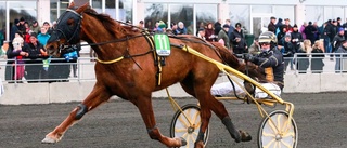 Bodenderby i Umåkers V75