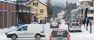 "Ogenomtänkt bilförbud"