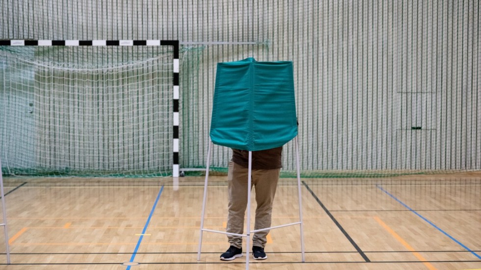 Den manliga väljaren har till stor del varit i fokus under årets valrörelse, enligt experter.
