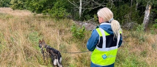 Sökandet fortsätter på ny plats – med hjälp av räddningshundar • Familjemedlemmen: "Vi måste köra på tills vi hittar någonting"