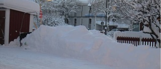 Johannaparken blockerad av snö vintertid